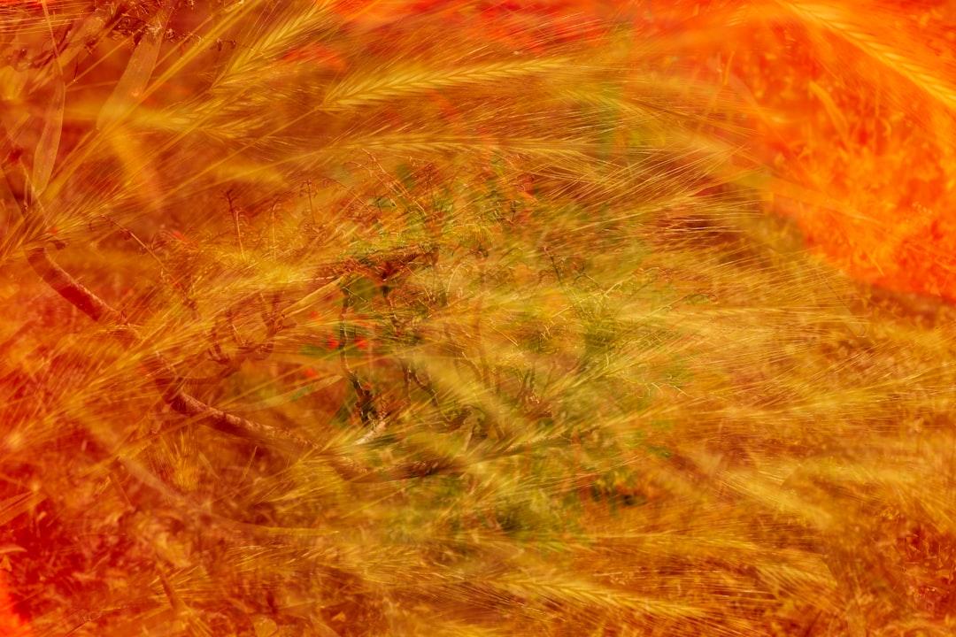 Retina Specialist Intake Form