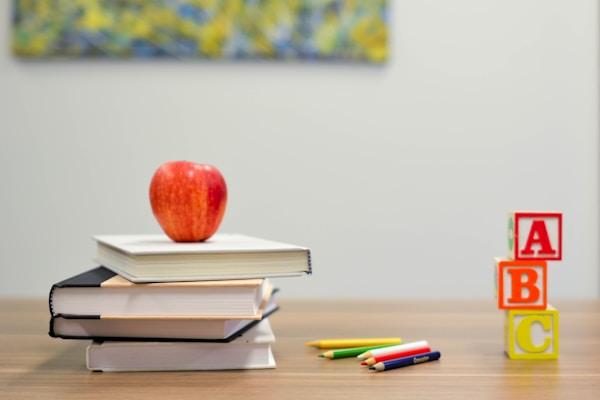 School Physical Examination Form